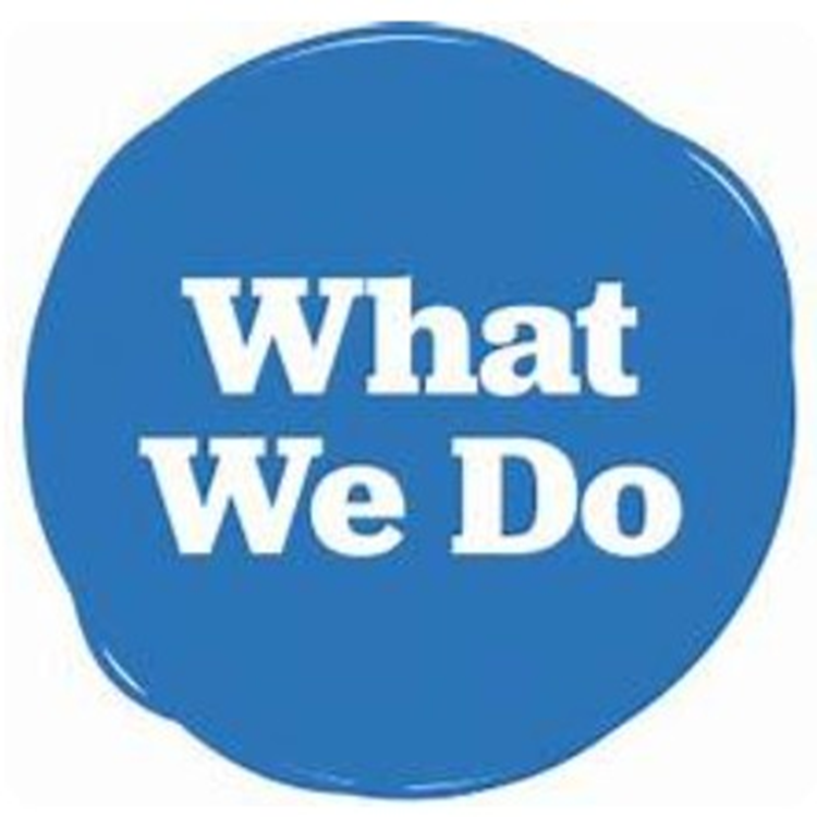 What We Do